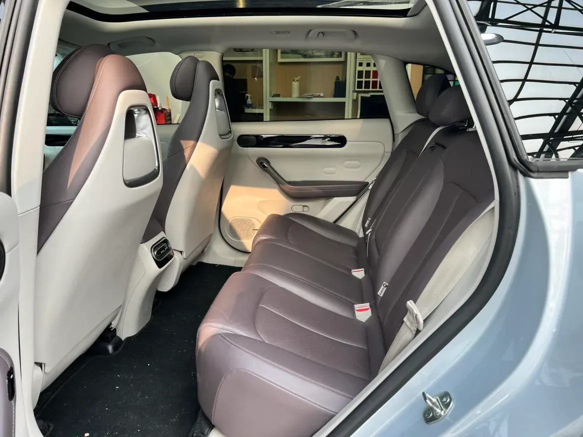 2023 Leapmotor C11 Range Extended 131HP REEV 30.1KWH,autocango,china used car exporter,china ev exporter,chinese used car exporter,chinese used ev exporter