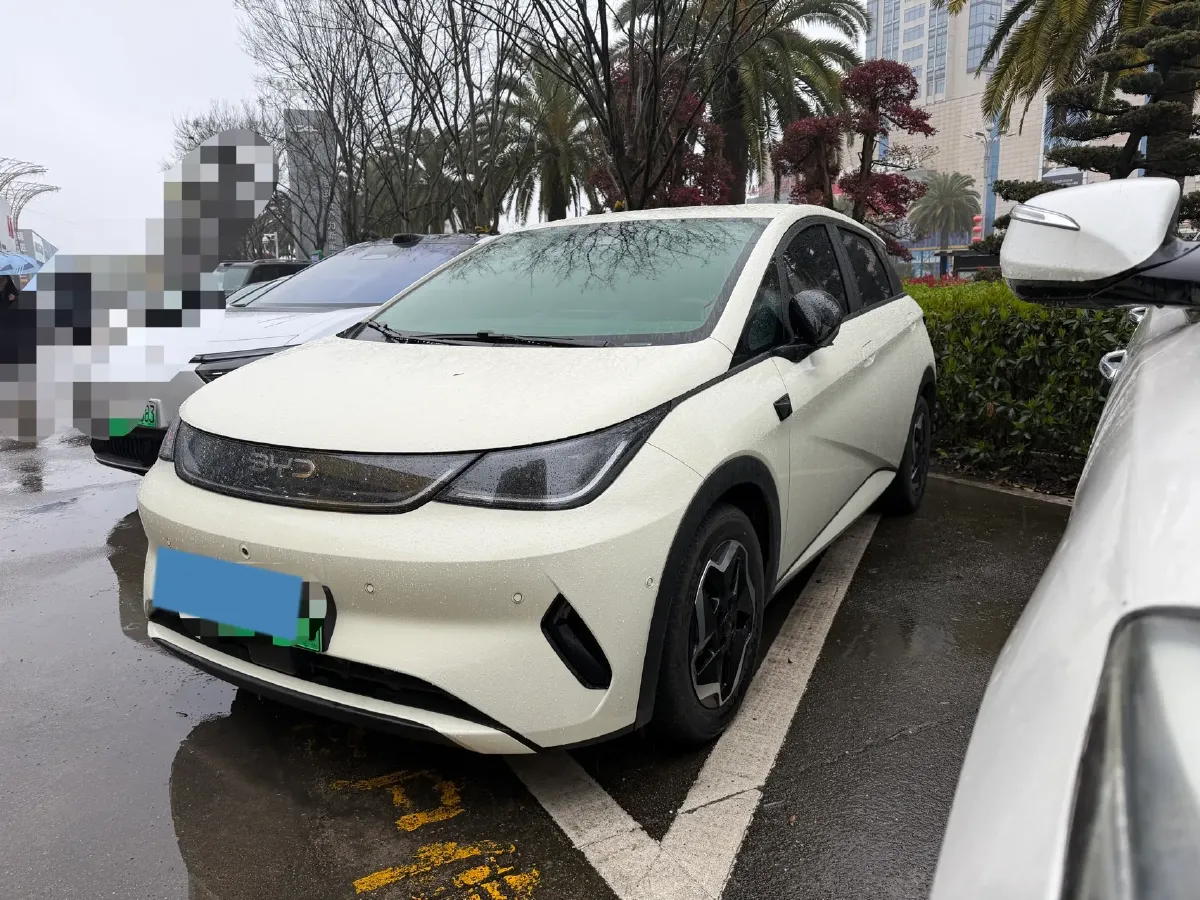 2025 BYD Dolphin BEV 45.12KWH,autocango,china used car exporter,china ev exporter,chinese used car exporter,chinese used ev exporter