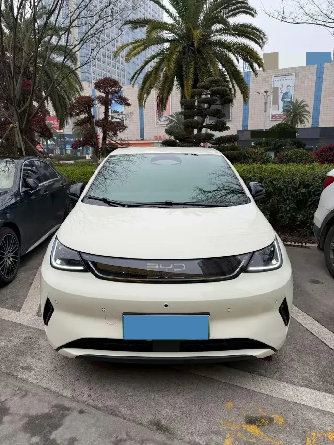2025 BYD Dolphin BEV 45.12KWH,autocango,china used car exporter,china ev exporter,chinese used car exporter,chinese used ev exporter