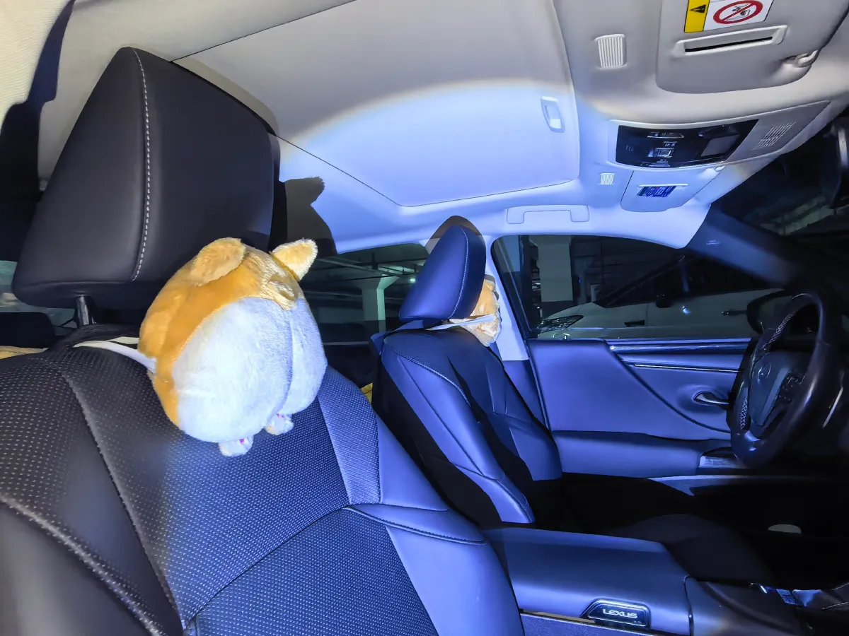 2021 Lexus ES 2.5L 207HP L4 8AT,autocango,china used car exporter,china ev exporter,chinese used car exporter,chinese used ev exporter