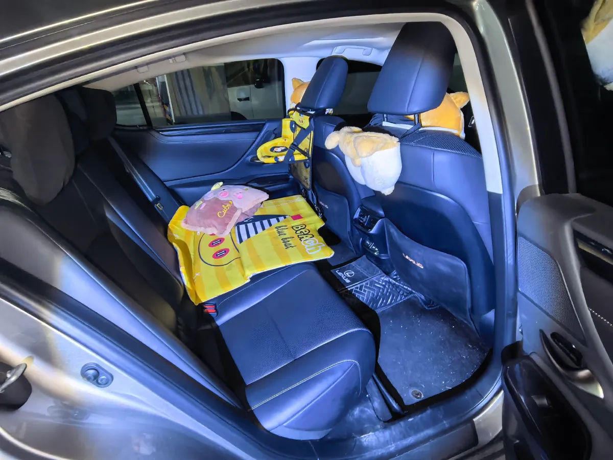 2021 Lexus ES 2.5L 207HP L4 8AT,autocango,china used car exporter,china ev exporter,chinese used car exporter,chinese used ev exporter