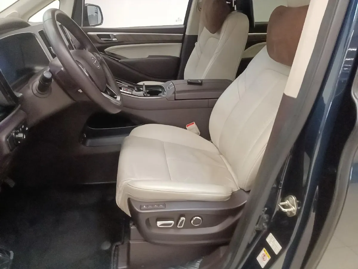 2021 GAC Trumpchi M8 2.0T 252HP L4 8AT,autocango,china used car exporter,china ev exporter,chinese used car exporter,chinese used ev exporter