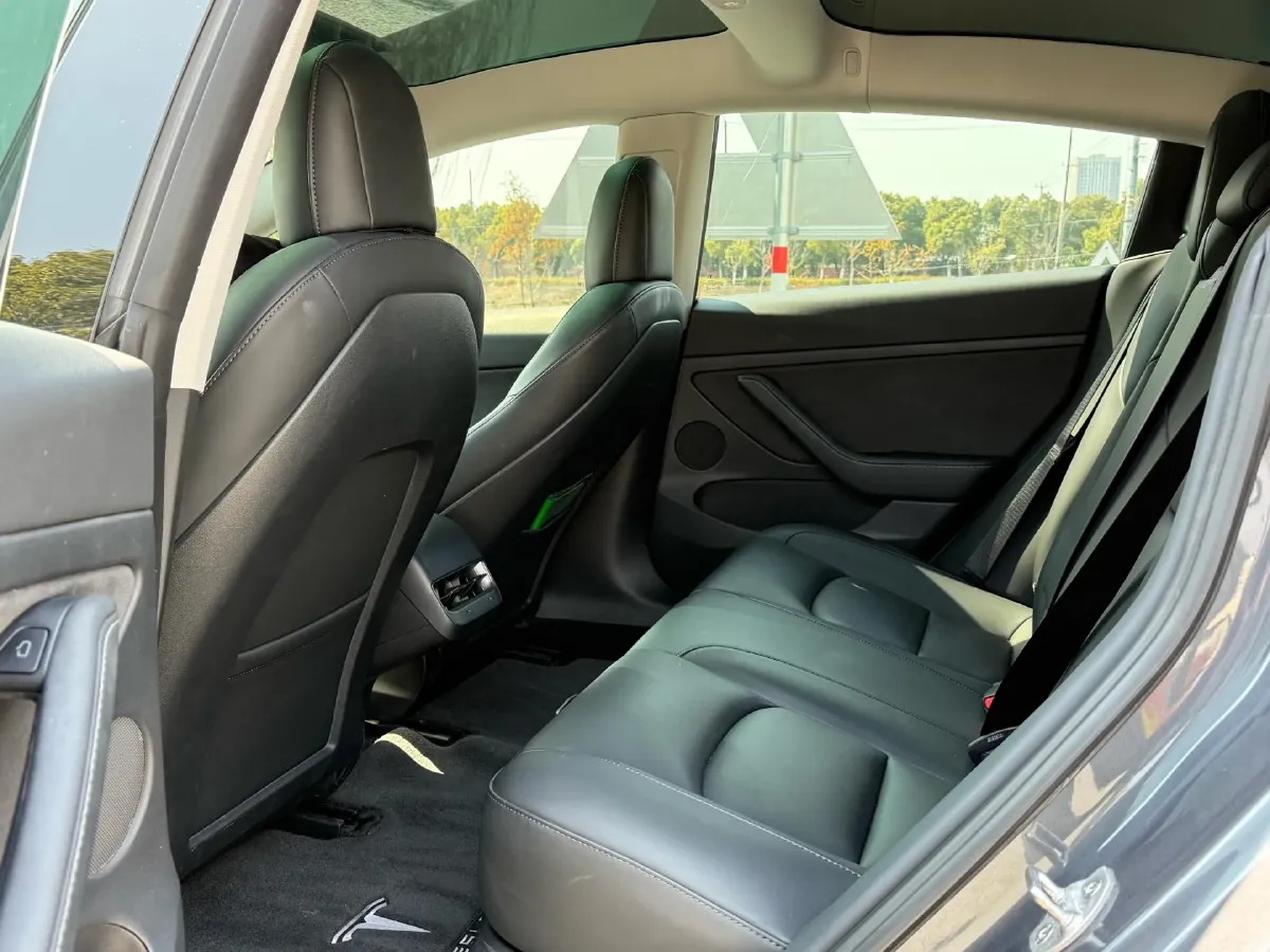 2021 Tesla Model 3 BEV 55KWH,autocango,china used car exporter,china ev exporter,chinese used car exporter,chinese used ev exporter