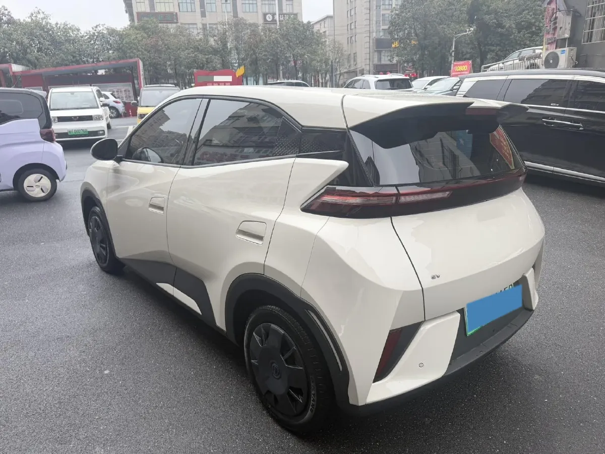 2025 BYD Seagull BEV 30.08KWH,autocango,china used car exporter,china ev exporter,chinese used car exporter,chinese used ev exporter