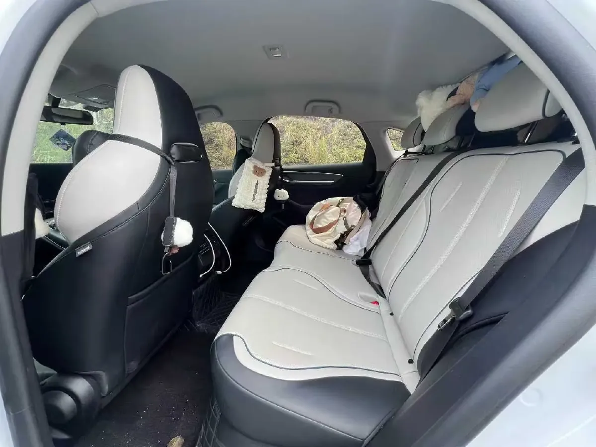 2024 BYD Destroyer 05 1.5L 110HP L4 E-CVT PHEV 8.3KWH,autocango,china used car exporter,china ev exporter,chinese used car exporter,chinese used ev exporter