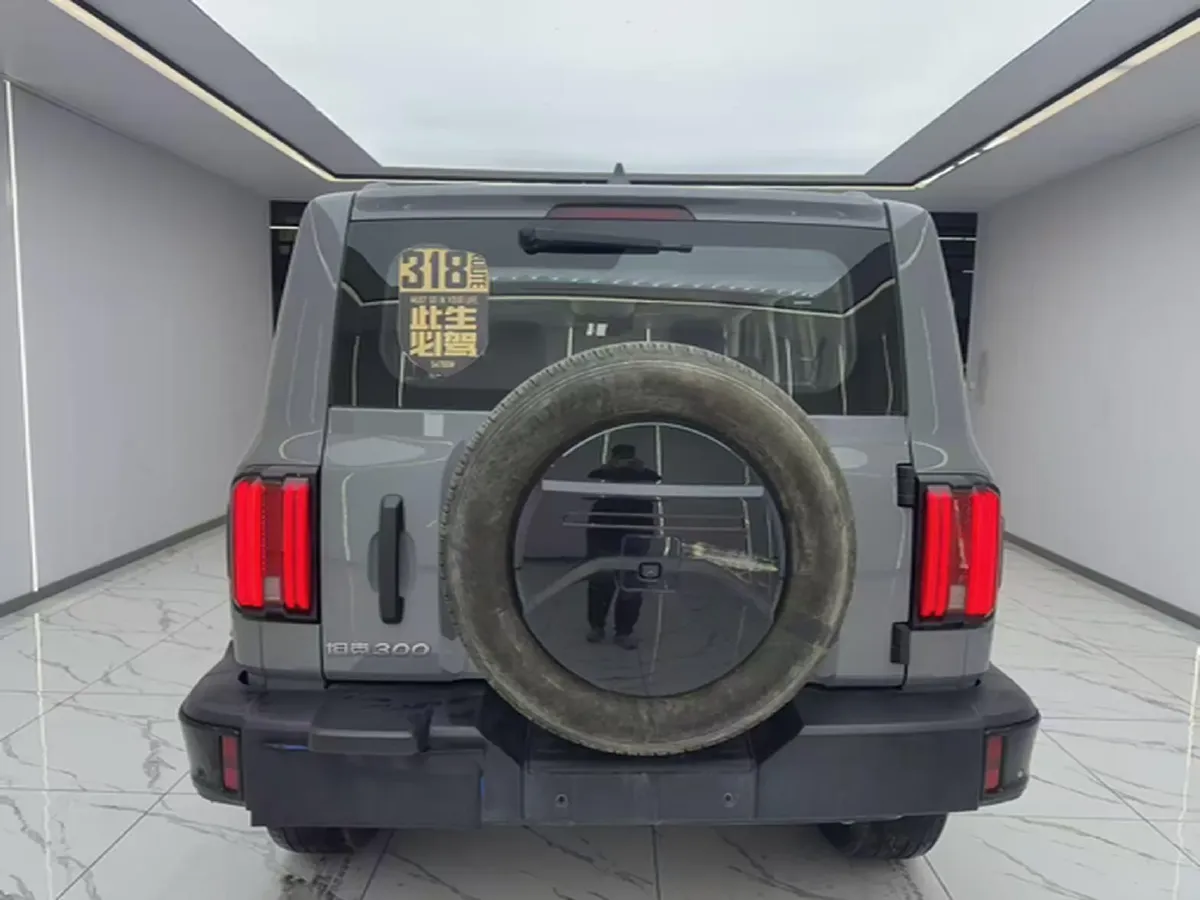 2024 Tank 300 2.0T 227HP L4 8AT,autocango,china used car exporter,china ev exporter,chinese used car exporter,chinese used ev exporter