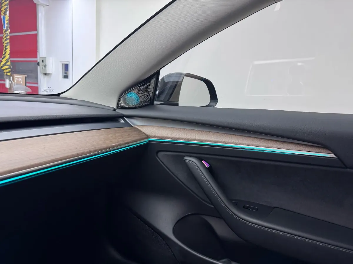 2021 Tesla Model 3 BEV 55KWH,autocango,china used car exporter,china ev exporter,chinese used car exporter,chinese used ev exporter