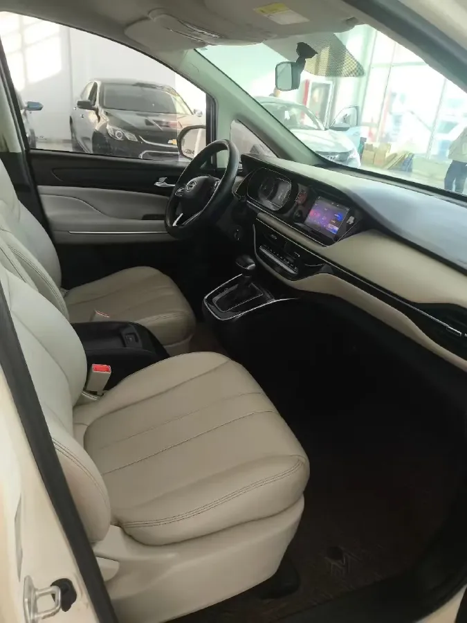 2019 GAC Trumpchi M6 1.5T 171HP L4 6AT,autocango,china used car exporter,china ev exporter,chinese used car exporter,chinese used ev exporter