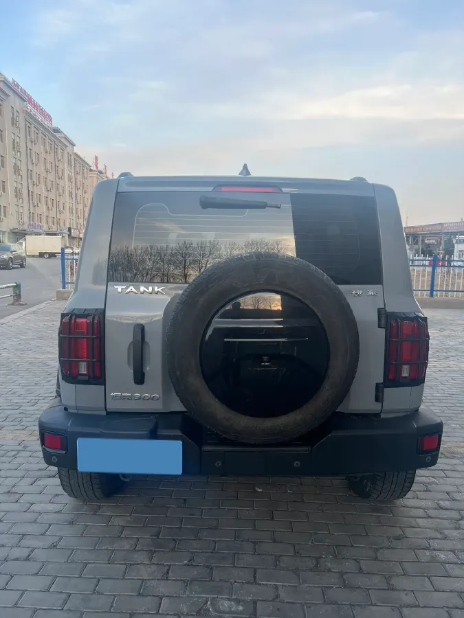 2021 Tank 300 2.0T 227HP L4 8AT,autocango,china used car exporter,china ev exporter,chinese used car exporter,chinese used ev exporter