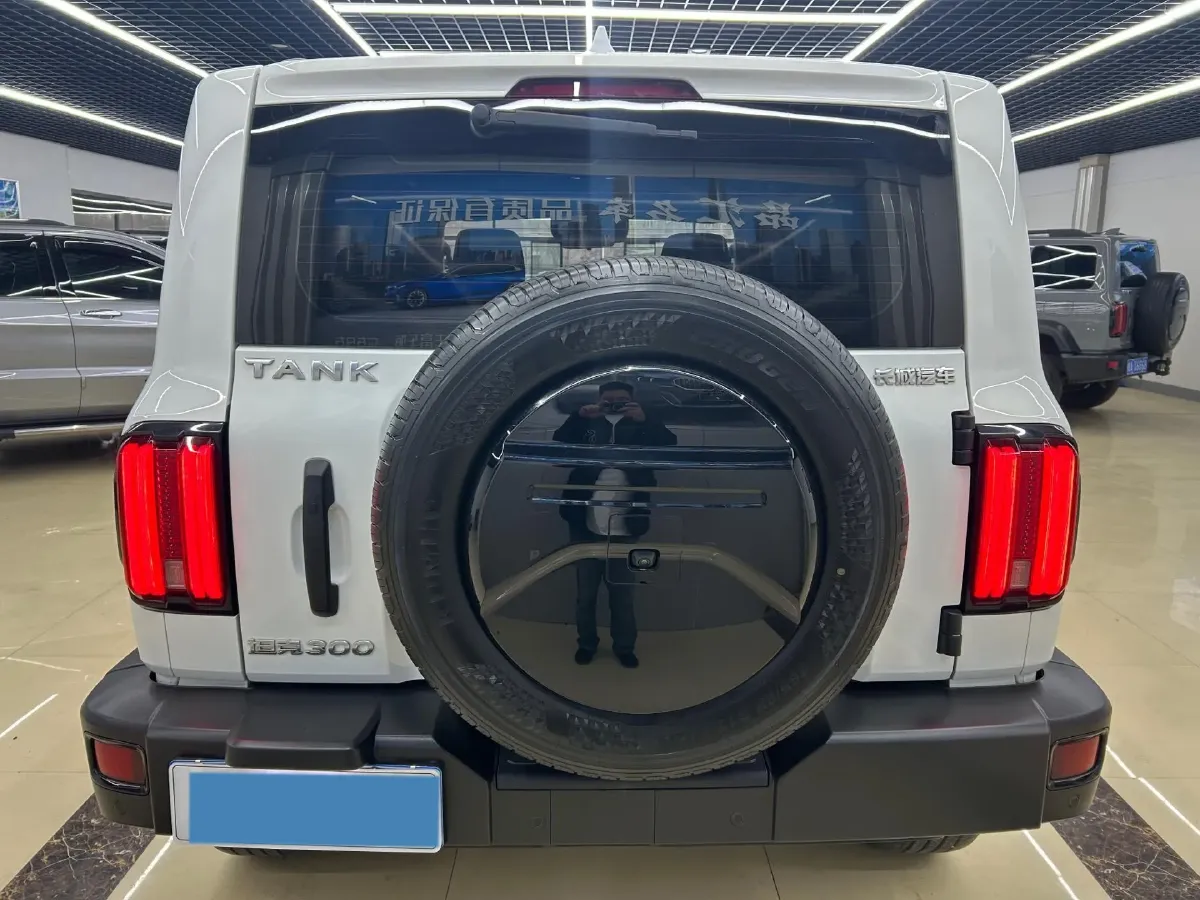 2024 Tank 300 2.0T 227HP L4 8AT,autocango,china used car exporter,china ev exporter,chinese used car exporter,chinese used ev exporter