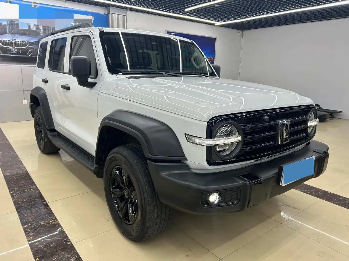 2024 Tank 300 2.0T 227HP L4 8AT,autocango,china used car exporter,china ev exporter,chinese used car exporter,chinese used ev exporter