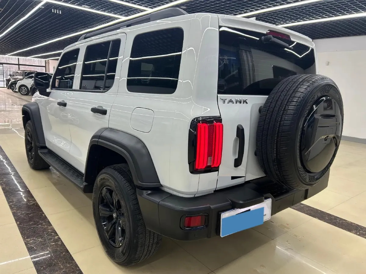 2024 Tank 300 2.0T 227HP L4 8AT,autocango,china used car exporter,china ev exporter,chinese used car exporter,chinese used ev exporter