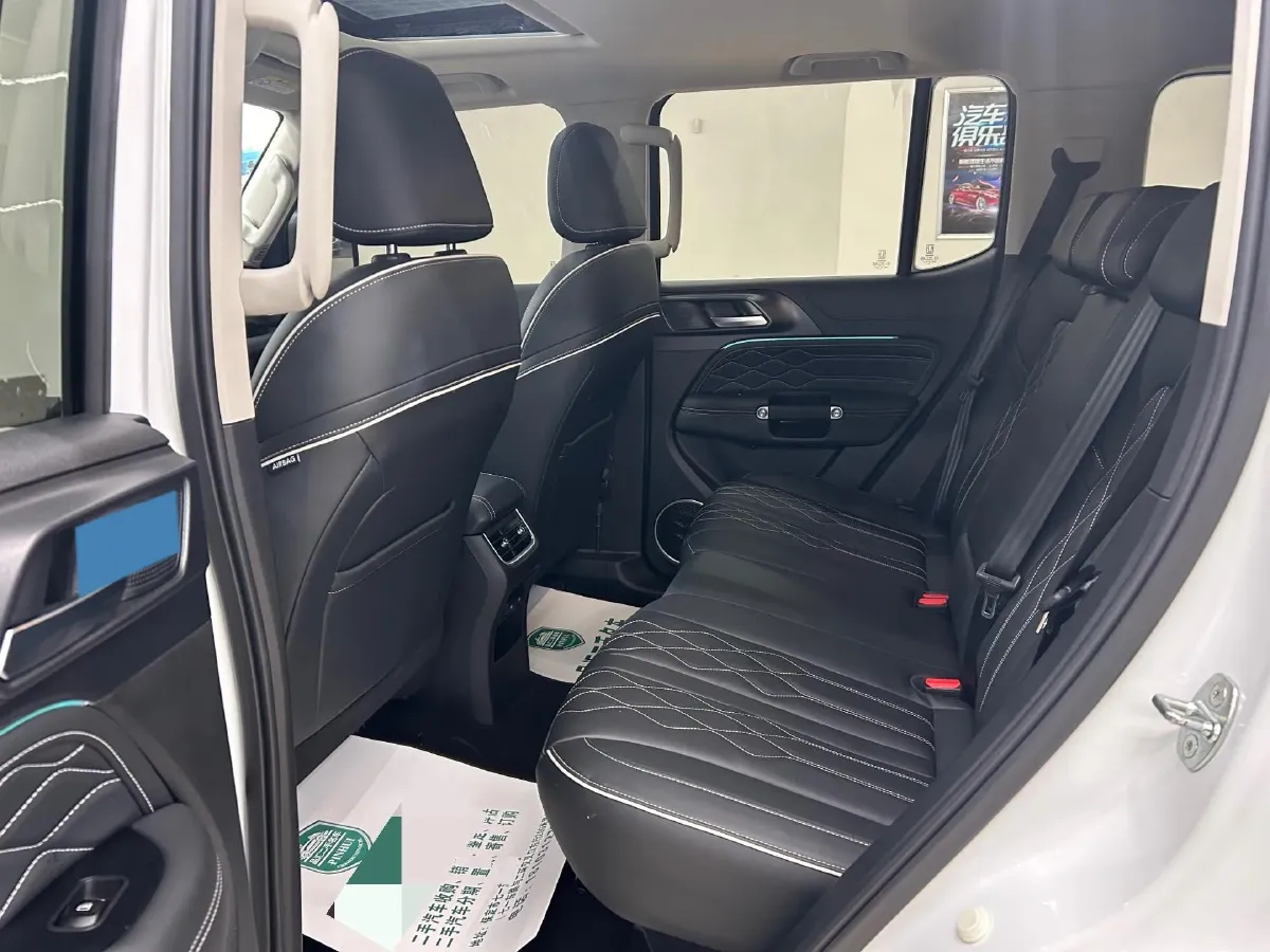 2024 Tank 300 2.0T 227HP L4 8AT,autocango,china used car exporter,china ev exporter,chinese used car exporter,chinese used ev exporter