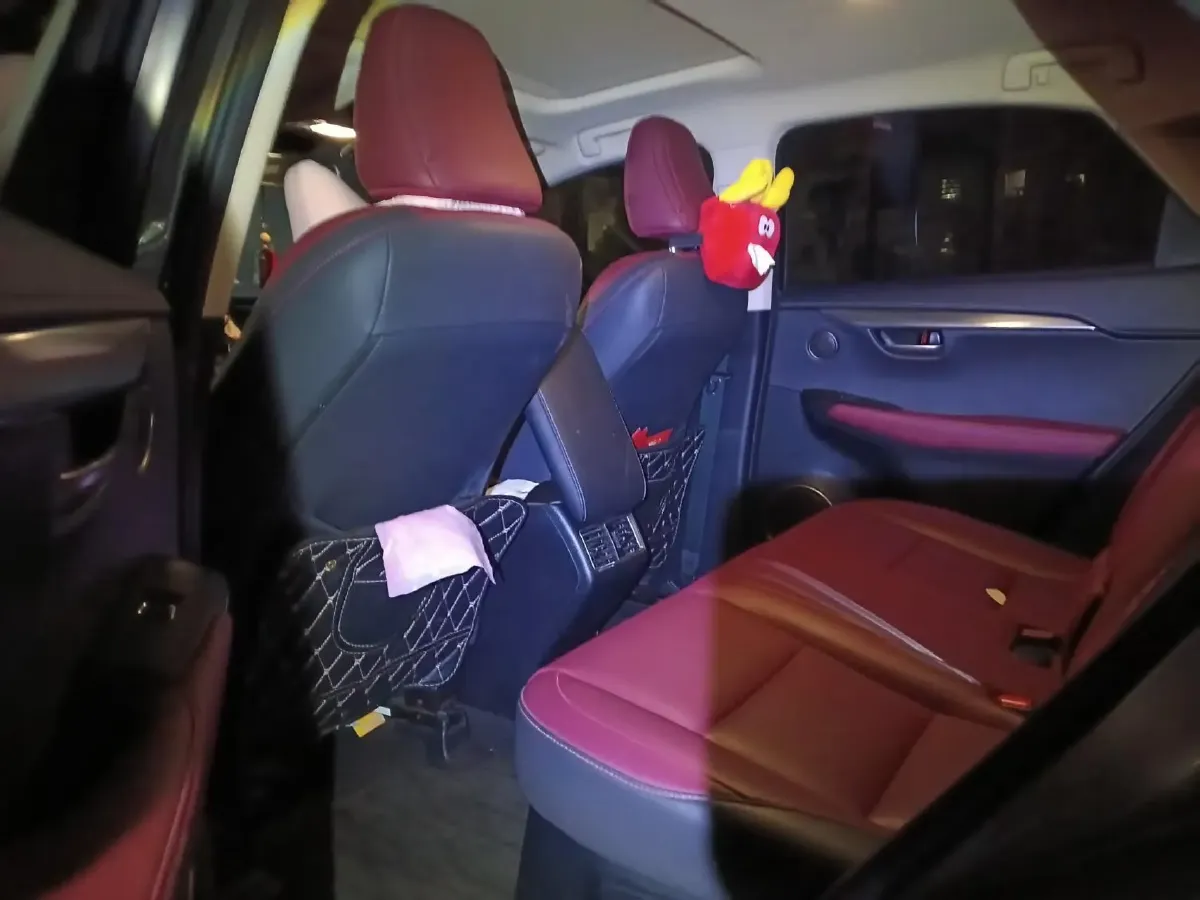 2020 Lexus NX 2.5L 155HP L4 E-CVT Hybrid,autocango,china used car exporter,china ev exporter,chinese used car exporter,chinese used ev exporter