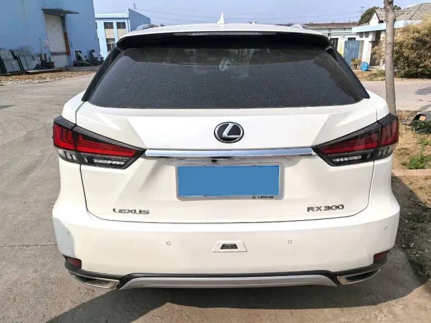 2020 Lexus RX 2.0T 231HP L4 6AT,autocango,china used car exporter,china ev exporter,chinese used car exporter,chinese used ev exporter