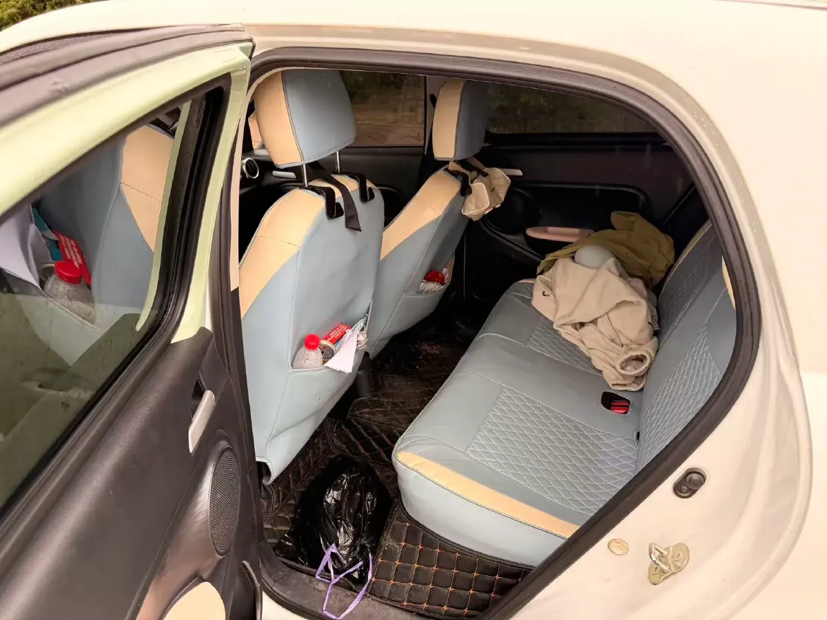 2022 DaYun YueHu BEV 30.66KWH,autocango,china used car exporter,china ev exporter,chinese used car exporter,chinese used ev exporter