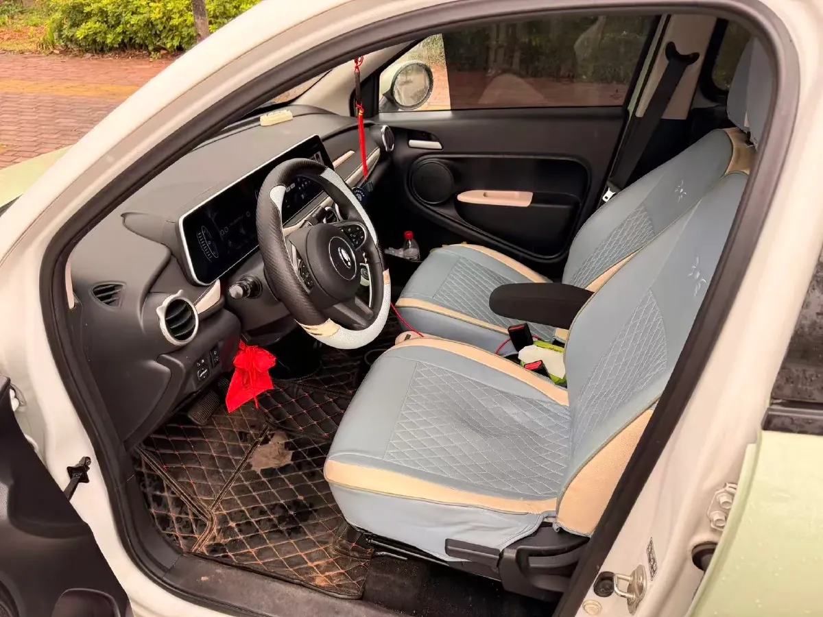 2022 DaYun YueHu BEV 30.66KWH,autocango,china used car exporter,china ev exporter,chinese used car exporter,chinese used ev exporter