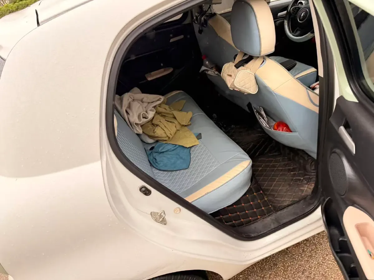 2022 DaYun YueHu BEV 30.66KWH,autocango,china used car exporter,china ev exporter,chinese used car exporter,chinese used ev exporter