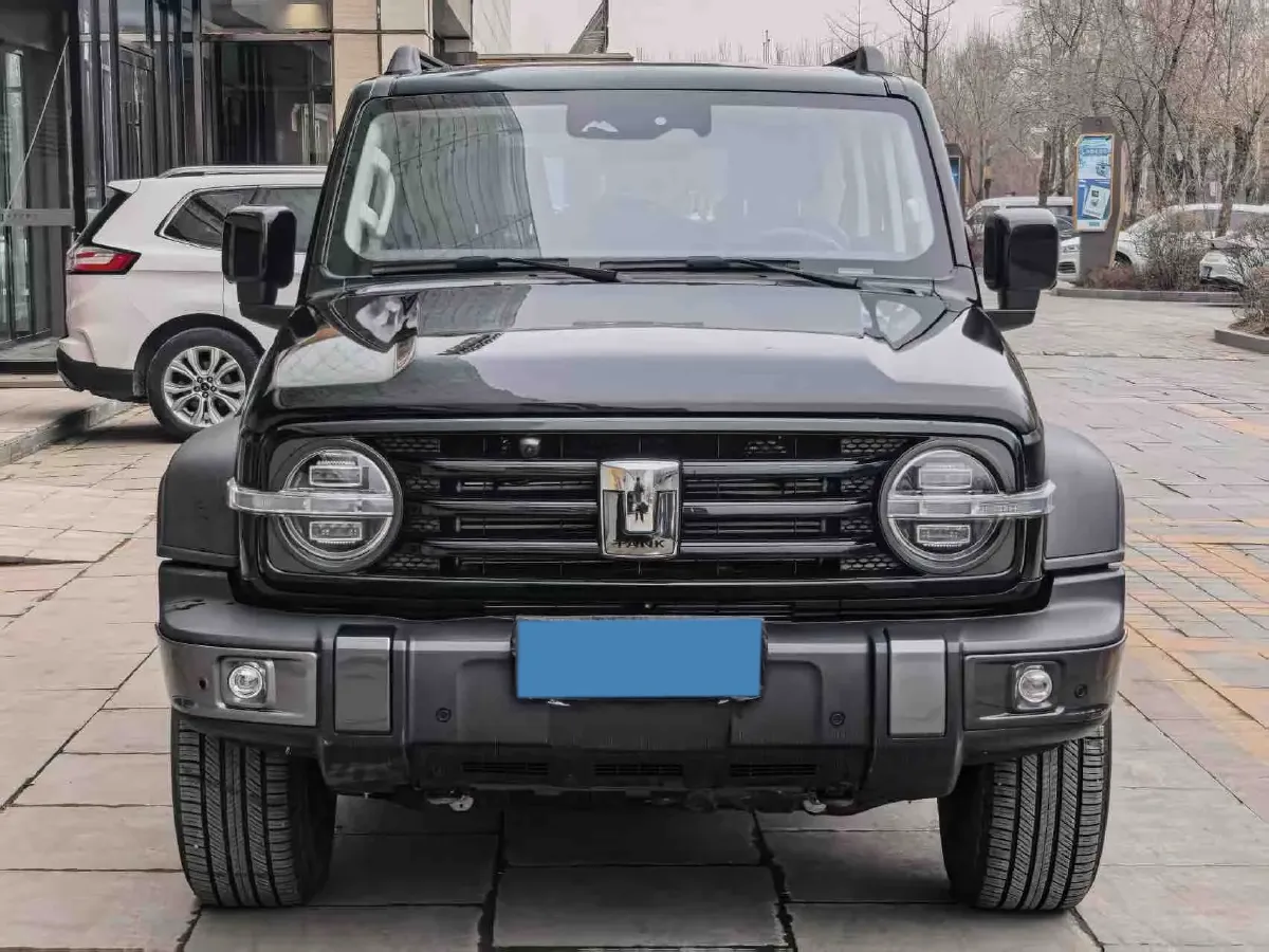 2021 Tank 300 2.0T 227HP L4 8AT,autocango,china used car exporter,china ev exporter,chinese used car exporter,chinese used ev exporter