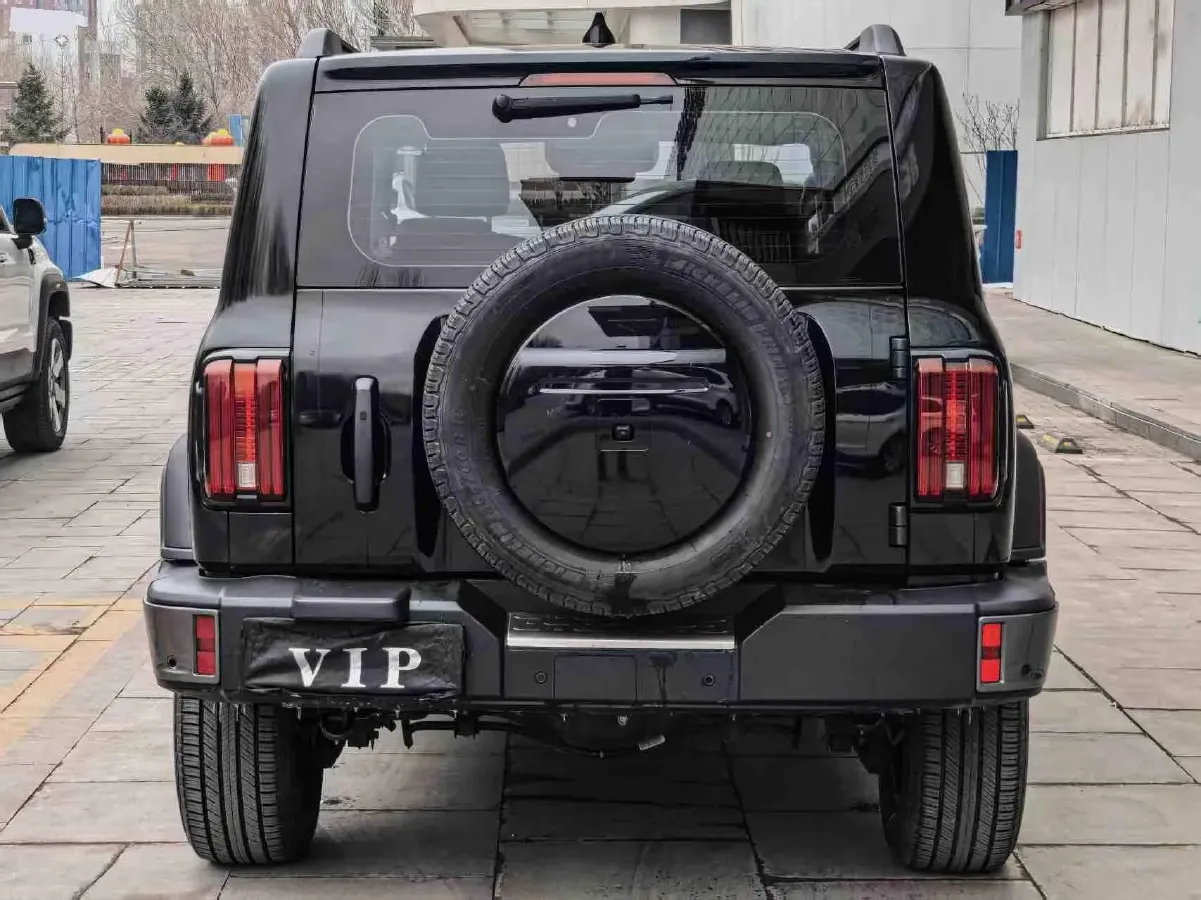 2021 Tank 300 2.0T 227HP L4 8AT,autocango,china used car exporter,china ev exporter,chinese used car exporter,chinese used ev exporter