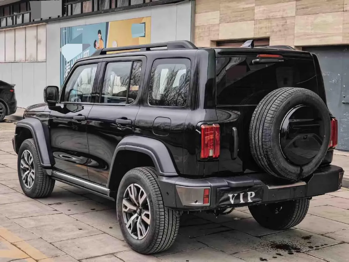 2021 Tank 300 2.0T 227HP L4 8AT,autocango,china used car exporter,china ev exporter,chinese used car exporter,chinese used ev exporter