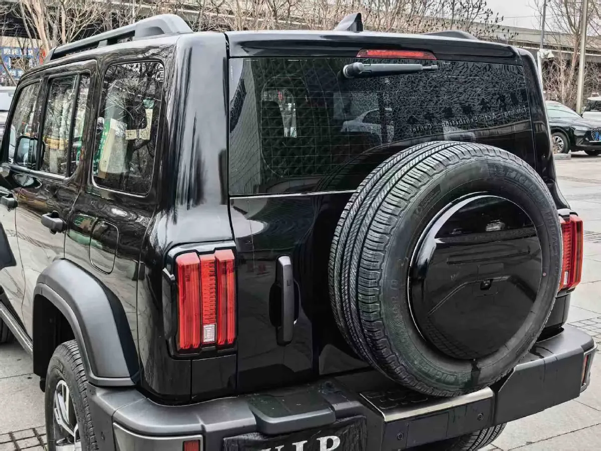 2021 Tank 300 2.0T 227HP L4 8AT,autocango,china used car exporter,china ev exporter,chinese used car exporter,chinese used ev exporter