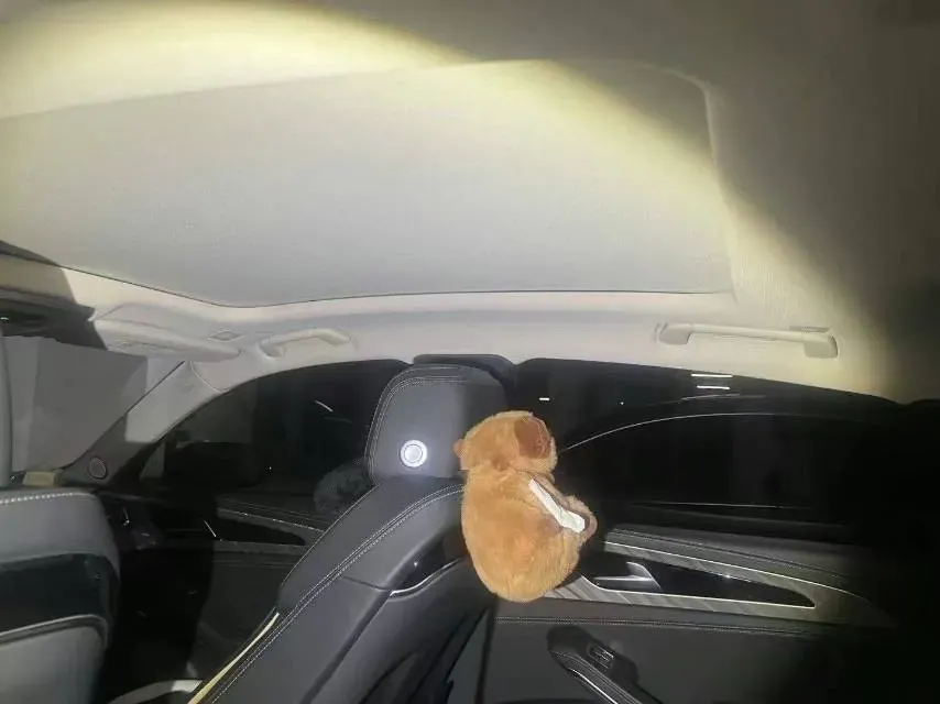 2022 HongQi H9 2.0T 252HP L4 7DCT,autocango,china used car exporter,china ev exporter,chinese used car exporter,chinese used ev exporter