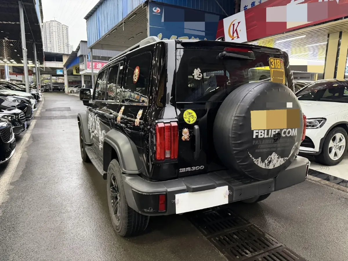 2024 Tank 300 2.0T 227HP L4 8AT,autocango,china used car exporter,china ev exporter,chinese used car exporter,chinese used ev exporter