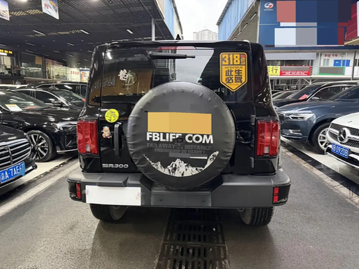 2024 Tank 300 2.0T 227HP L4 8AT,autocango,china used car exporter,china ev exporter,chinese used car exporter,chinese used ev exporter