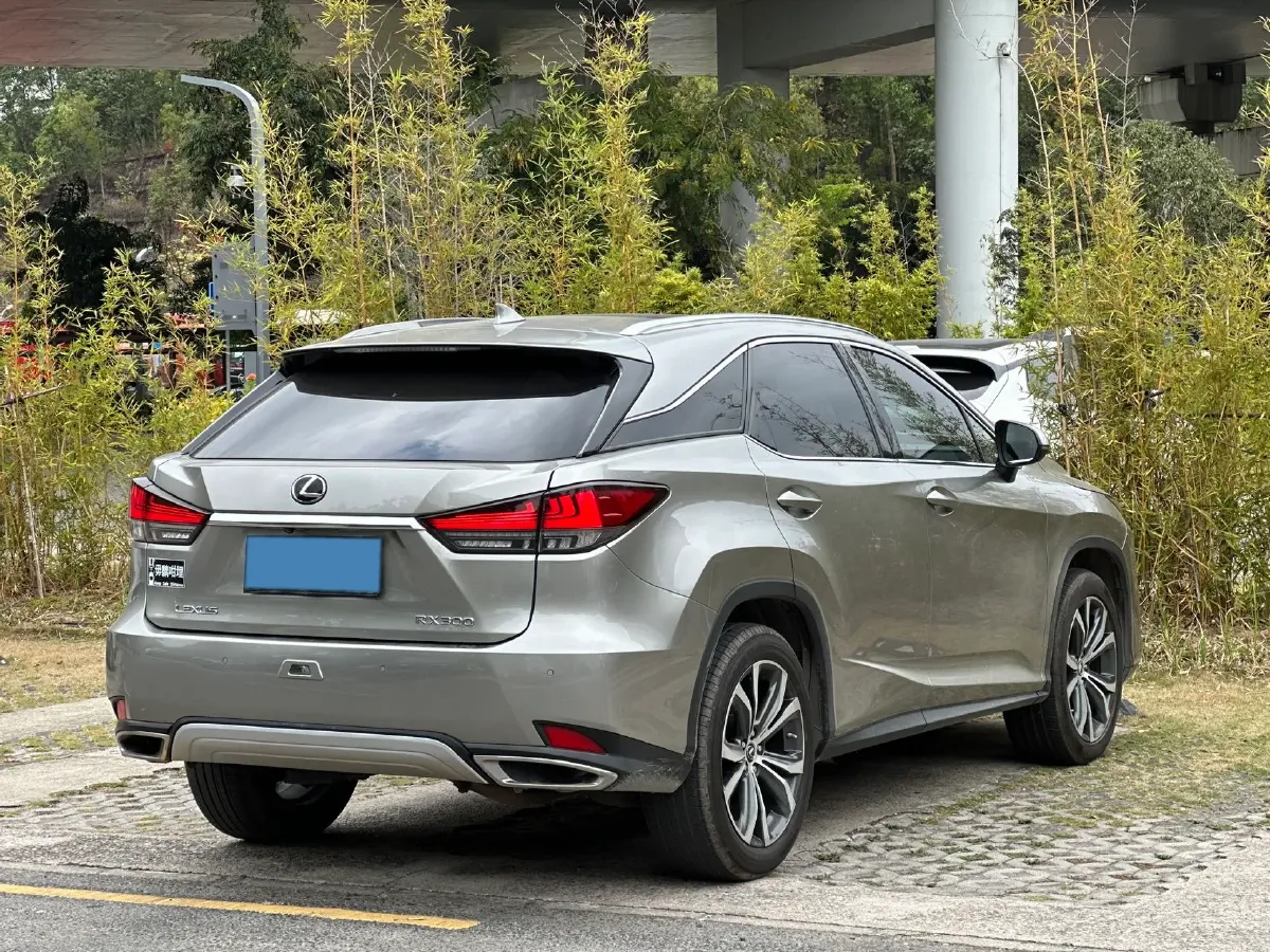2020 Lexus RX 2.0T 231HP L4 6AT,autocango,china used car exporter,china ev exporter,chinese used car exporter,chinese used ev exporter