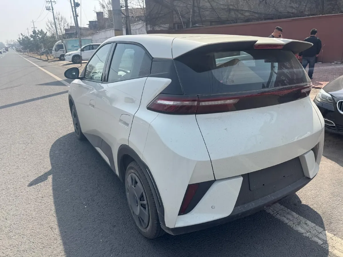 2025 BYD Seagull BEV 30.08KWH,autocango,china used car exporter,china ev exporter,chinese used car exporter,chinese used ev exporter