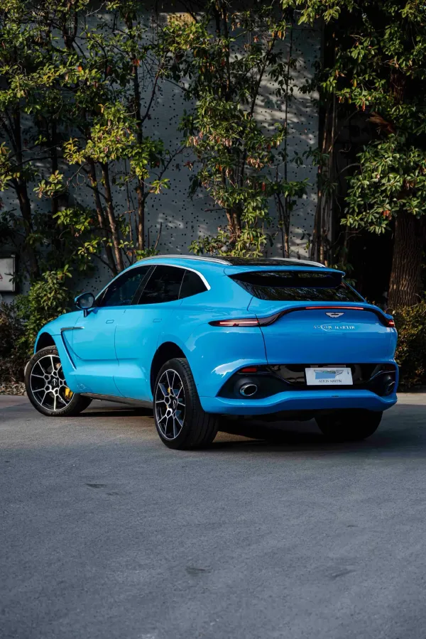 2021 Aston Martin DBX 4.0T 550HP V8 9AT,autocango,china used car exporter,china ev exporter,chinese used car exporter,chinese used ev exporter