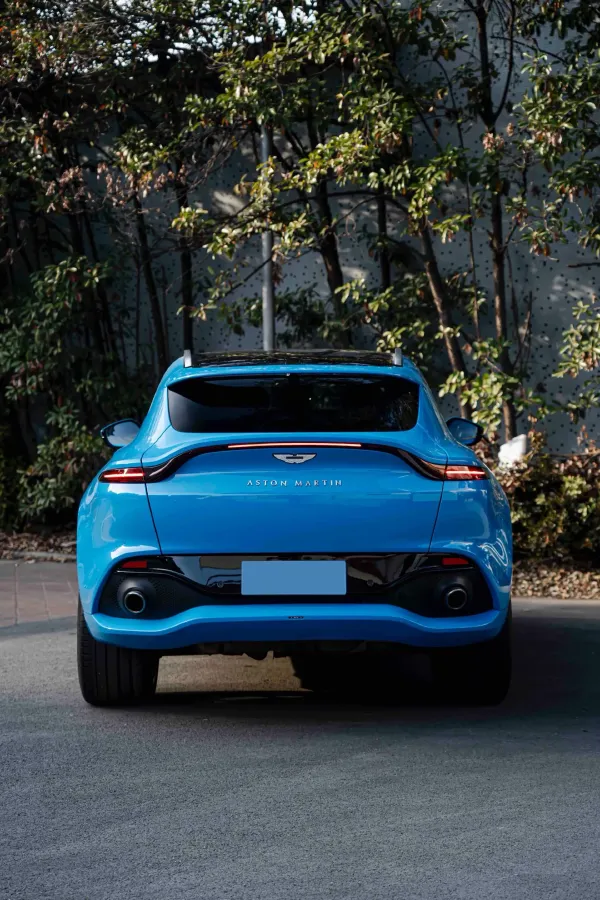 2021 Aston Martin DBX 4.0T 550HP V8 9AT,autocango,china used car exporter,china ev exporter,chinese used car exporter,chinese used ev exporter