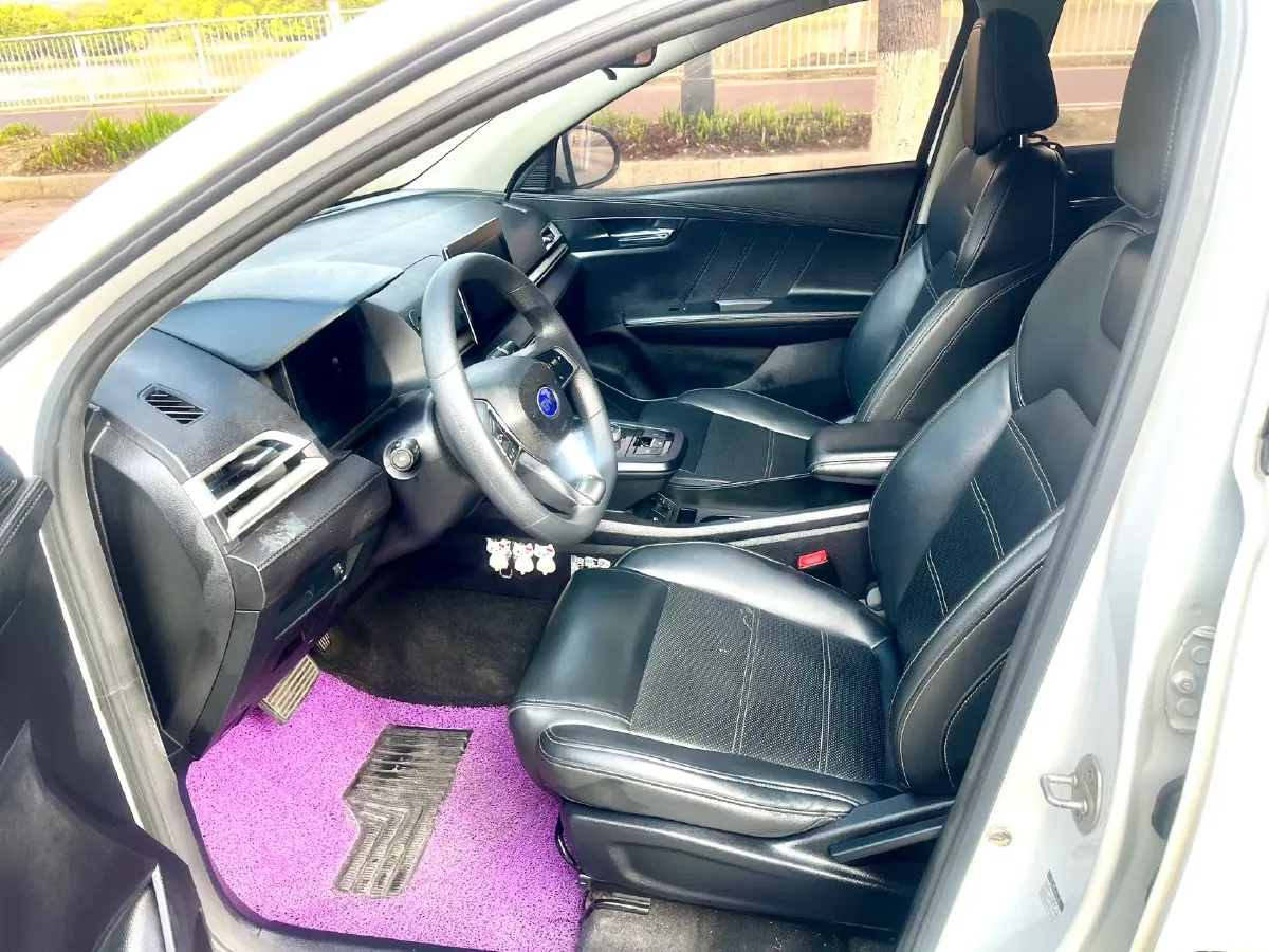 2019 BYD e2 BEV 47.3KWH,autocango,china used car exporter,china ev exporter,chinese used car exporter,chinese used ev exporter