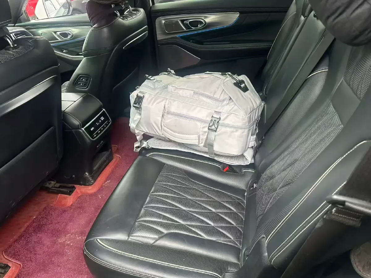 2022 GAC Trumpchi GS8 2.0T 252HP L4 8AT,autocango,china used car exporter,china ev exporter,chinese used car exporter,chinese used ev exporter