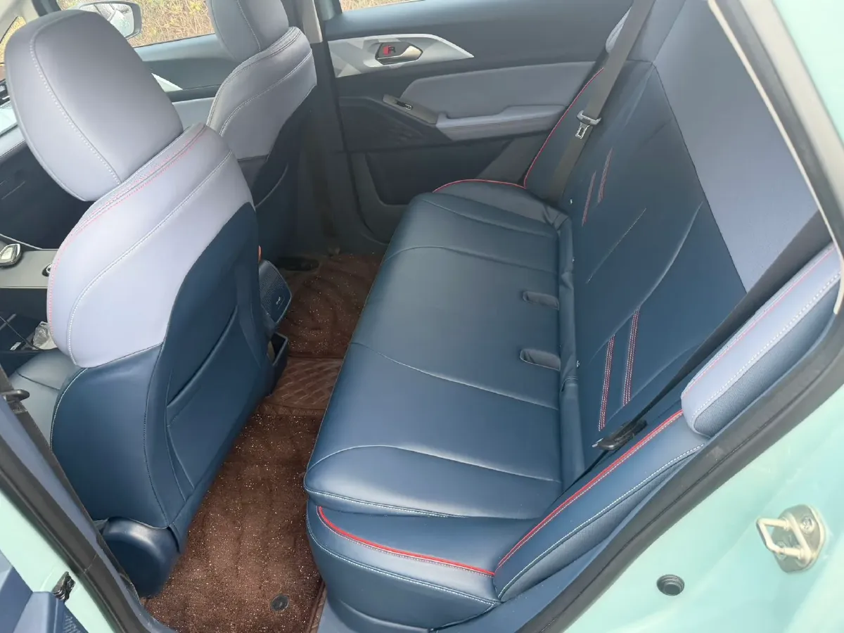 2022 Geometry E BEV 39.4KWH,autocango,china used car exporter,china ev exporter,chinese used car exporter,chinese used ev exporter