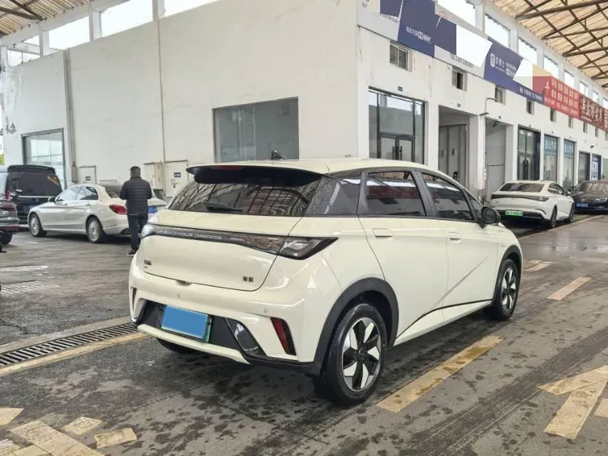 2025 BYD Dolphin BEV 44.928KWH,autocango,china used car exporter,china ev exporter,chinese used car exporter,chinese used ev exporter