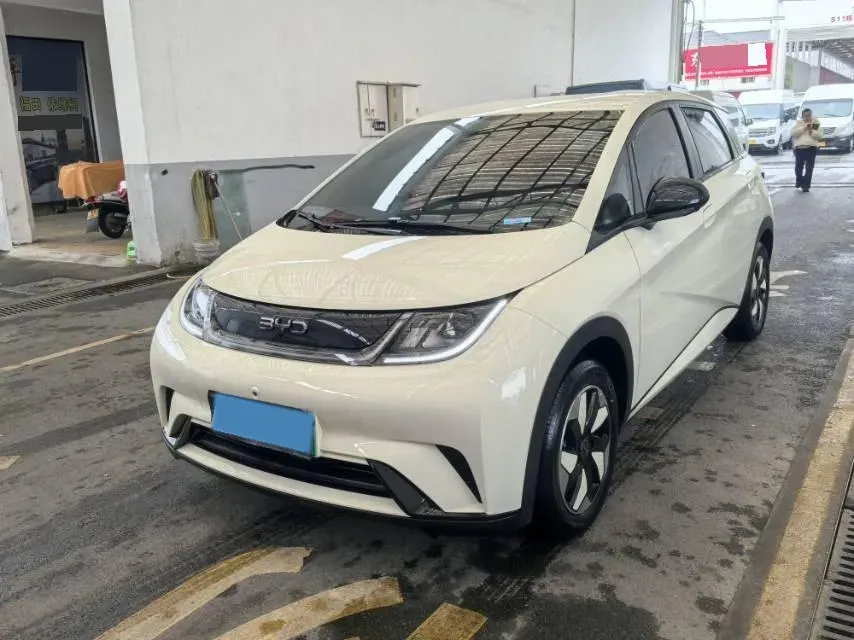 2025 BYD Dolphin BEV 44.928KWH,autocango,china used car exporter,china ev exporter,chinese used car exporter,chinese used ev exporter