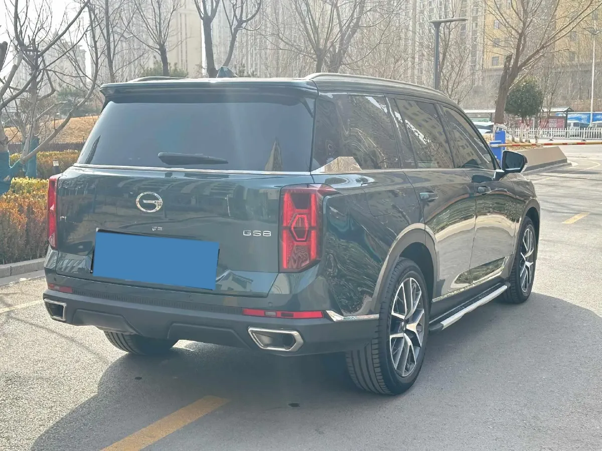 2024 GAC Trumpchi GS8 2.0T 252HP L4 8AT,autocango,china used car exporter,china ev exporter,chinese used car exporter,chinese used ev exporter