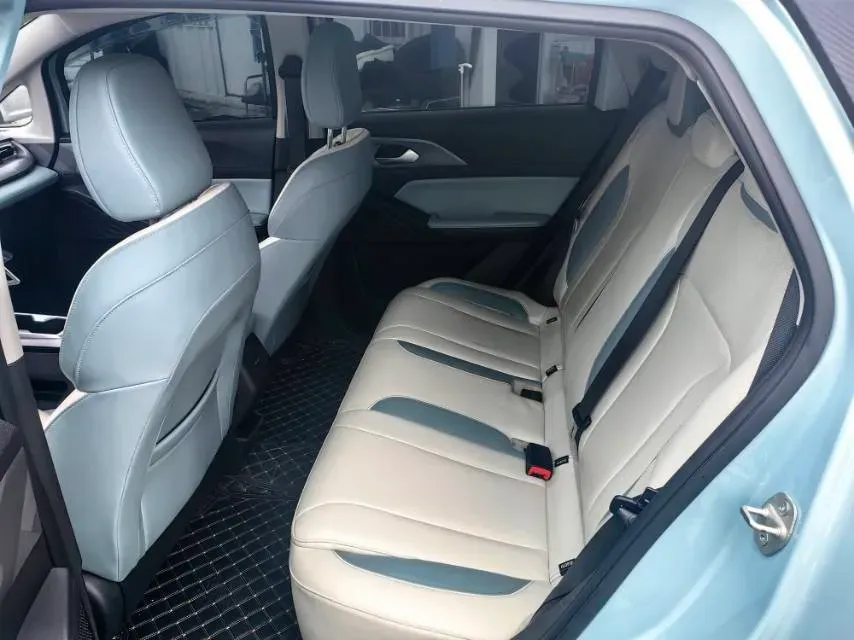 2024 Geometry E BEV 39.3KWH,autocango,china used car exporter,china ev exporter,chinese used car exporter,chinese used ev exporter