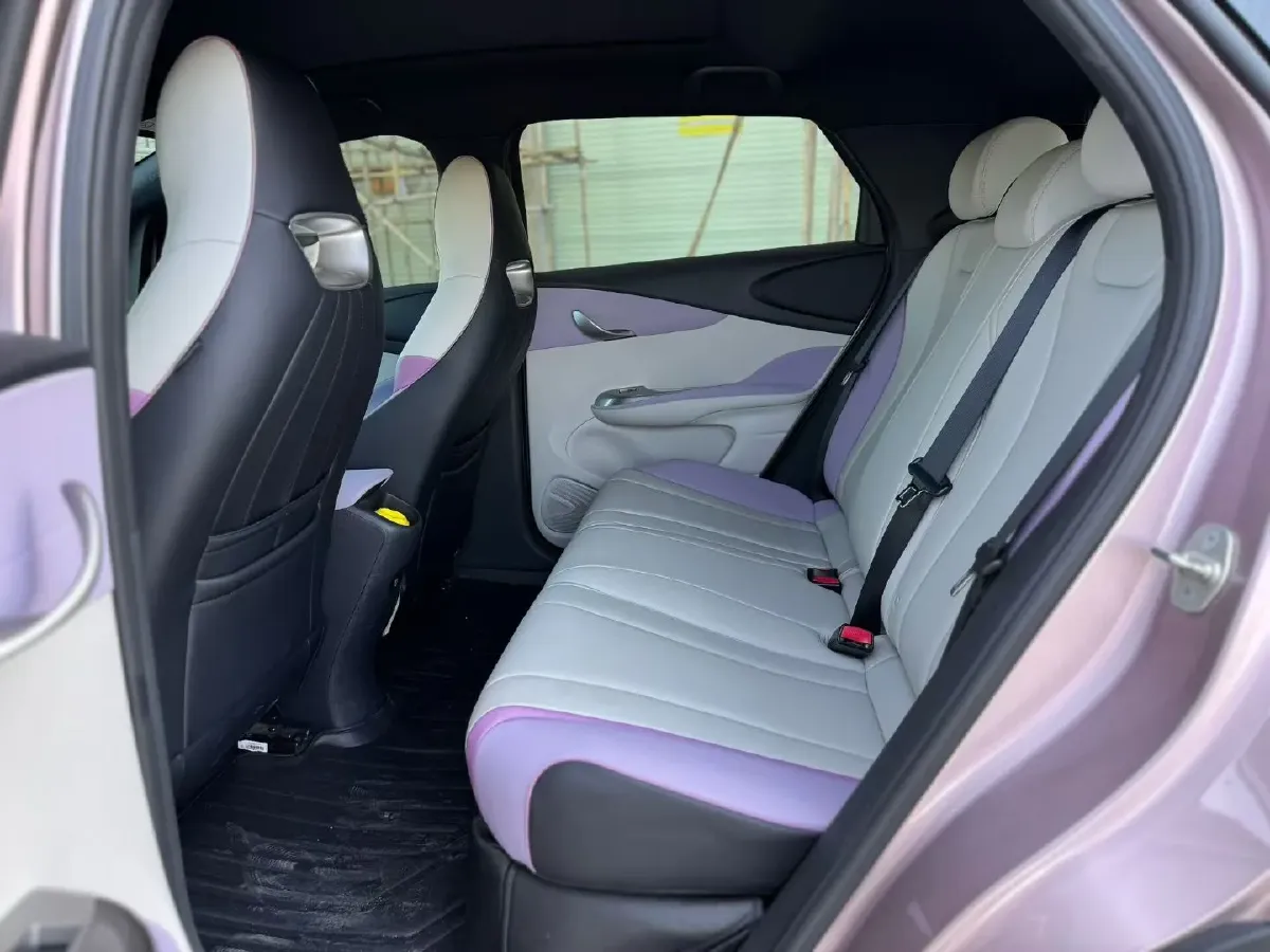 2023 BYD Dolphin BEV 44.928KWH,autocango,china used car exporter,china ev exporter,chinese used car exporter,chinese used ev exporter