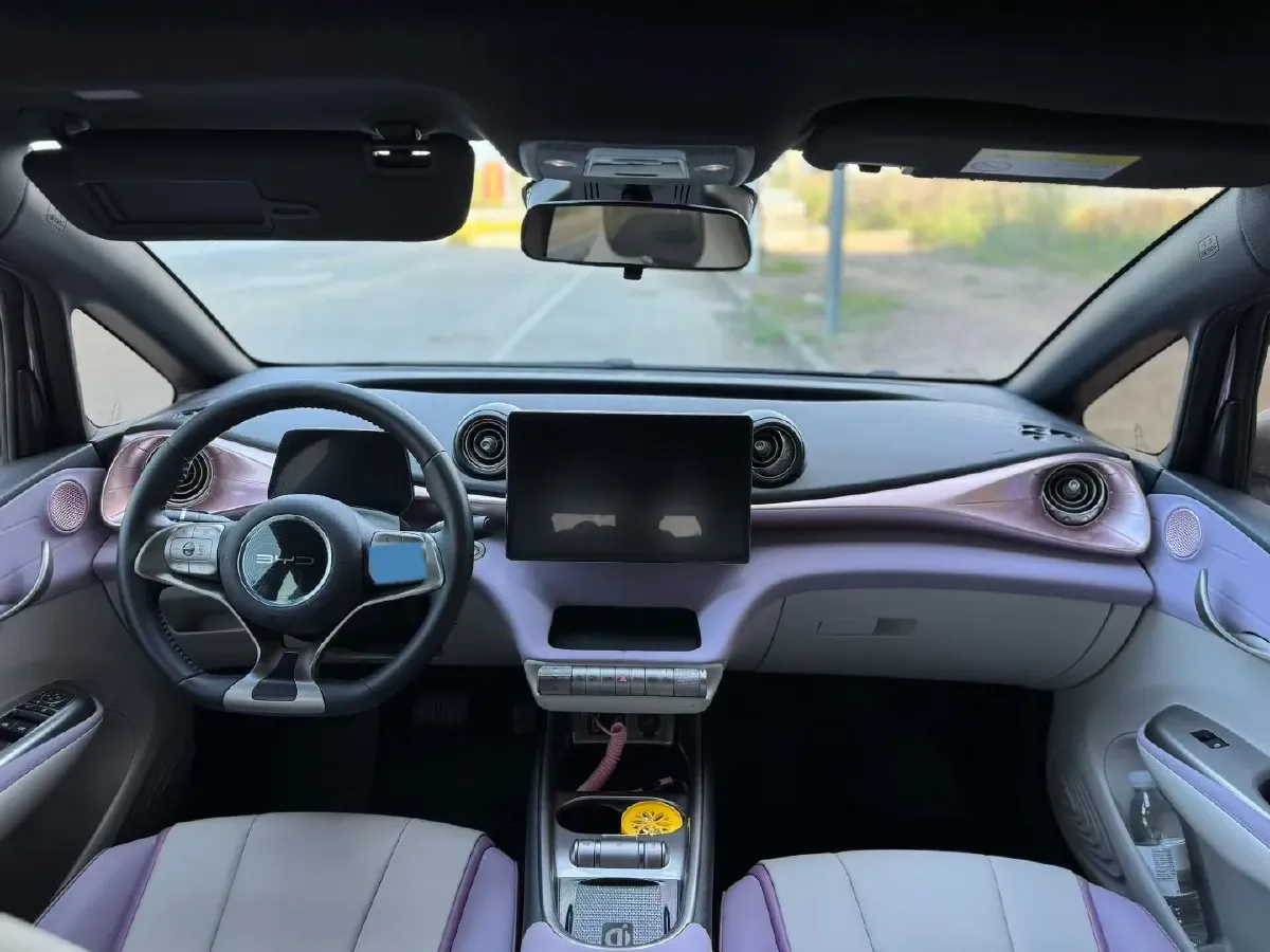 2023 BYD Dolphin BEV 44.928KWH,autocango,china used car exporter,china ev exporter,chinese used car exporter,chinese used ev exporter