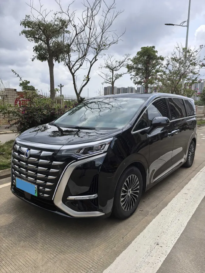 2024 Denza D9 1.5T 139HP L4 E-CVT PHEV 40KWH,autocango,china used car exporter,china ev exporter,chinese used car exporter,chinese used ev exporter