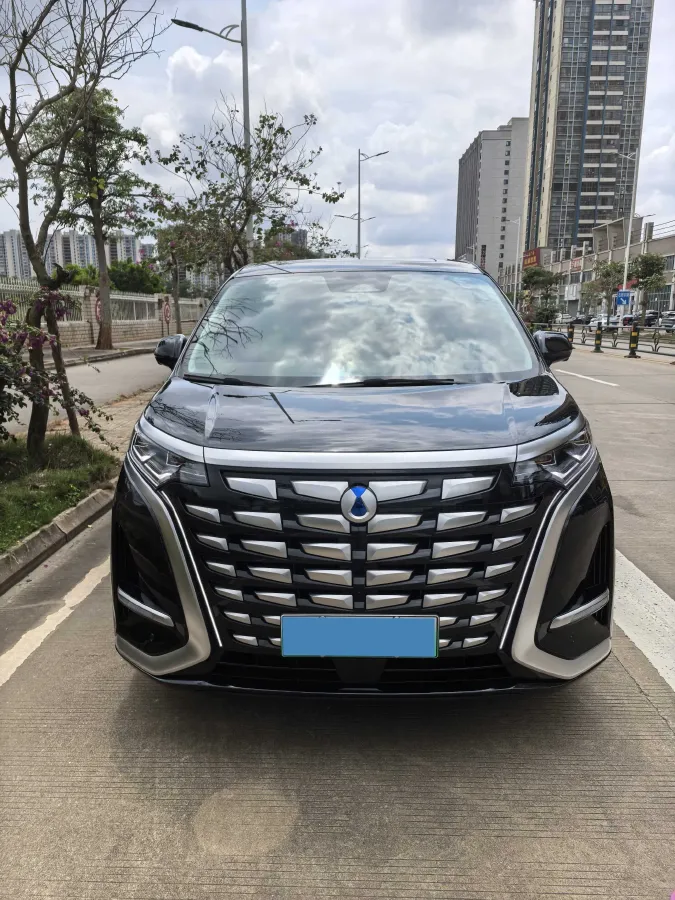 2024 Denza D9 1.5T 139HP L4 E-CVT PHEV 40KWH,autocango,china used car exporter,china ev exporter,chinese used car exporter,chinese used ev exporter