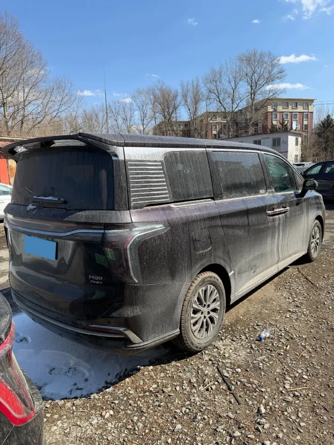 2023 HongQi HQ9 2.0T 252HP L4 8AT,autocango,china used car exporter,china ev exporter,chinese used car exporter,chinese used ev exporter