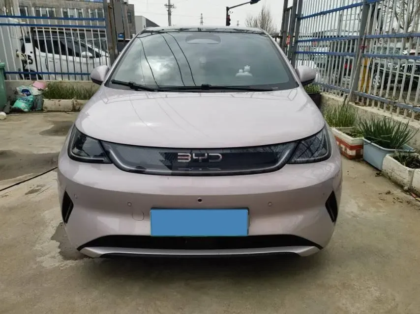 2025 BYD Dolphin BEV 45.12KWH,autocango,china used car exporter,china ev exporter,chinese used car exporter,chinese used ev exporter