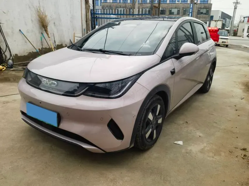 2025 BYD Dolphin BEV 45.12KWH,autocango,china used car exporter,china ev exporter,chinese used car exporter,chinese used ev exporter
