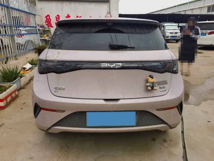 2025 BYD Dolphin BEV 45.12KWH,autocango,china used car exporter,china ev exporter,chinese used car exporter,chinese used ev exporter