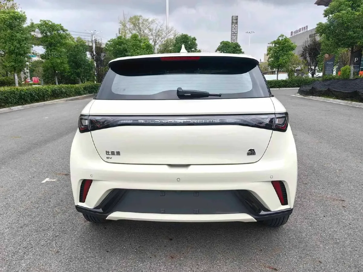 2023 BYD Dolphin BEV 44.928KWH,autocango,china used car exporter,china ev exporter,chinese used car exporter,chinese used ev exporter