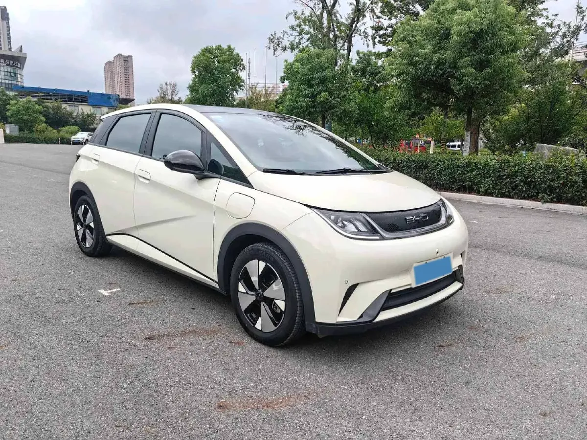 2023 BYD Dolphin BEV 44.928KWH,autocango,china used car exporter,china ev exporter,chinese used car exporter,chinese used ev exporter